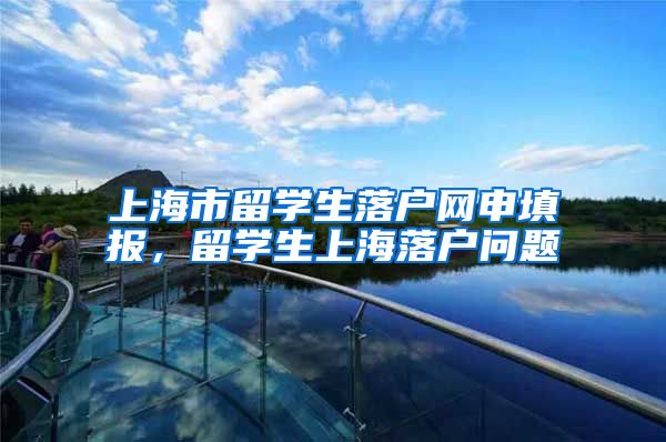 上海市留学生落户网申填报，留学生上海落户问题