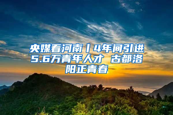 央媒看河南丨4年间引进5.6万青年人才 古都洛阳正青春