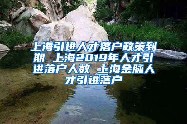 上海引进人才落户政策到期 上海2019年人才引进落户人数 上海金脉人才引进落户
