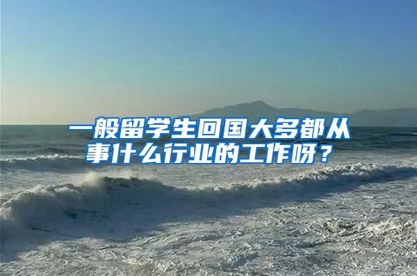 一般留学生回国大多都从事什么行业的工作呀？