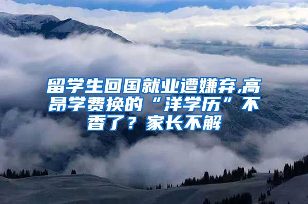 留学生回国就业遭嫌弃,高昂学费换的“洋学历”不香了？家长不解
