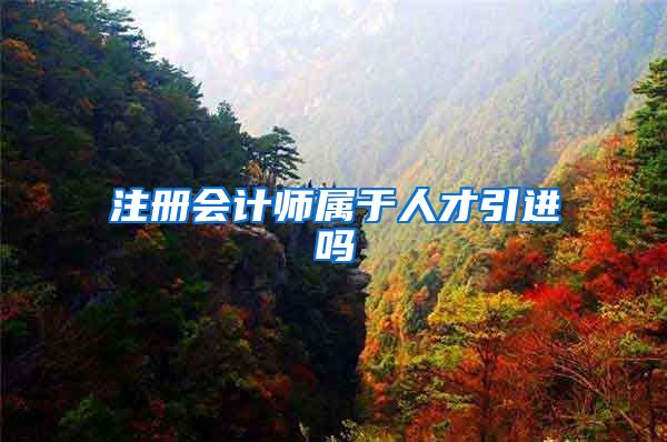 注册会计师属于人才引进吗
