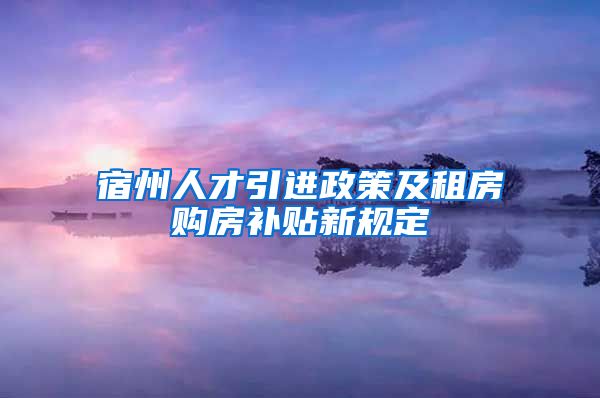 宿州人才引进政策及租房购房补贴新规定
