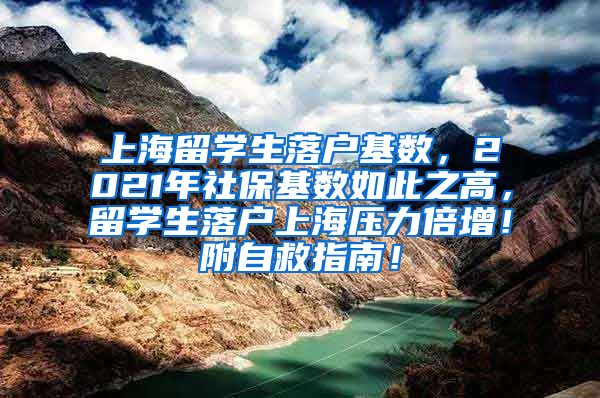 上海留学生落户基数，2021年社保基数如此之高，留学生落户上海压力倍增！附自救指南！