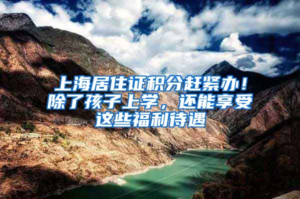 上海居住证积分赶紧办！除了孩子上学，还能享受这些福利待遇