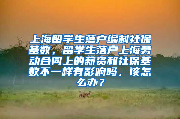 上海留学生落户编制社保基数，留学生落户上海劳动合同上的薪资和社保基数不一样有影响吗，该怎么办？
