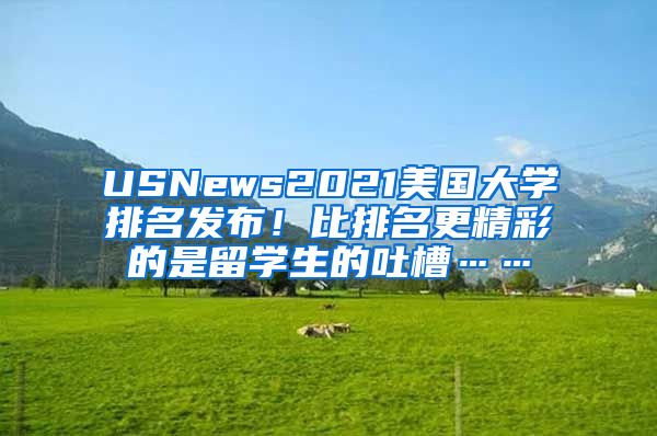 USNews2021美国大学排名发布！比排名更精彩的是留学生的吐槽……