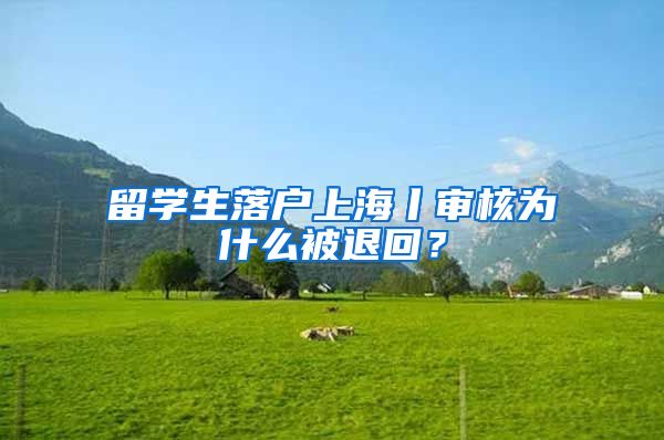 留学生落户上海丨审核为什么被退回？