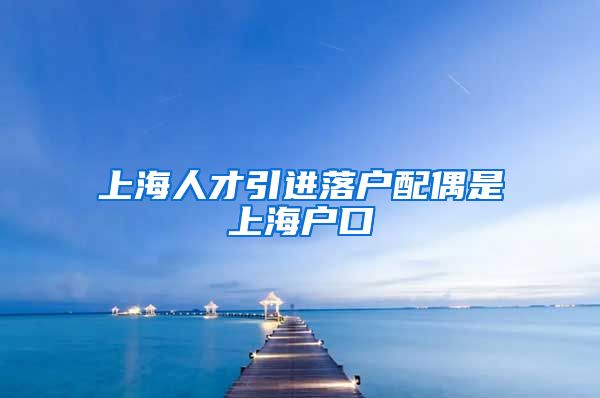 上海人才引进落户配偶是上海户口