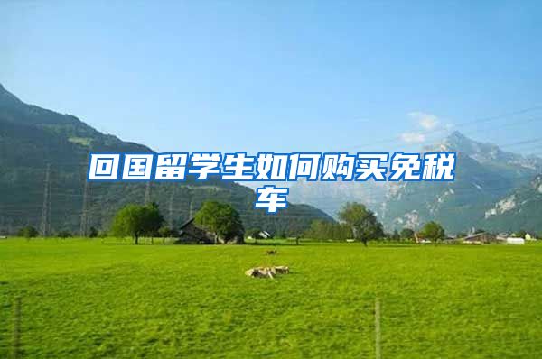 回国留学生如何购买免税车