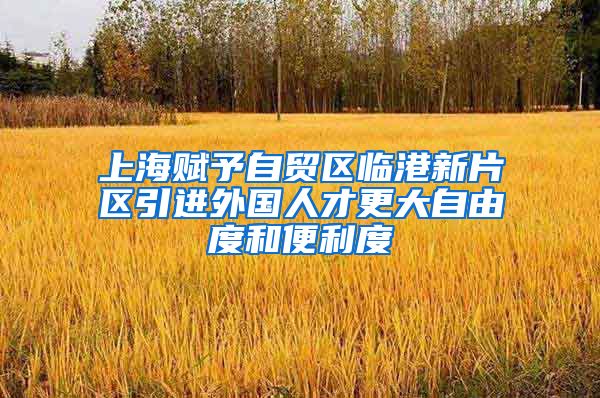 上海赋予自贸区临港新片区引进外国人才更大自由度和便利度