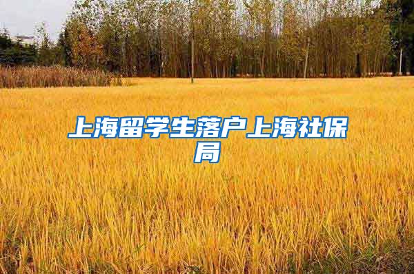 上海留学生落户上海社保局