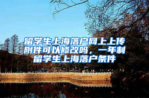 留学生上海落户网上上传附件可以修改吗，一年制留学生上海落户条件