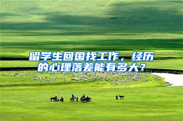 留学生回国找工作，经历的心理落差能有多大？
