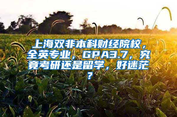 上海双非本科财经院校，全英专业，GPA3.7，究竟考研还是留学，好迷茫？