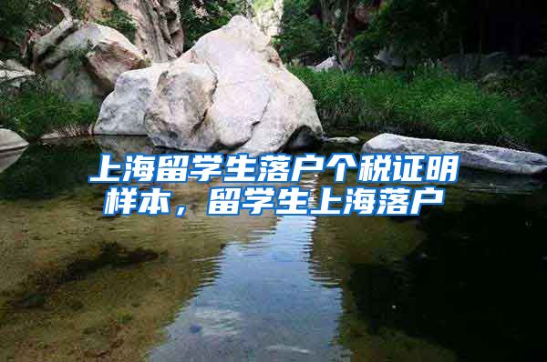 上海留学生落户个税证明样本，留学生上海落户