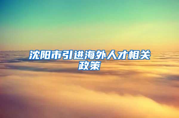沈阳市引进海外人才相关政策