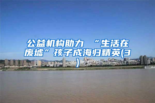 公益机构助力 “生活在废墟”孩子成海归精英(3)