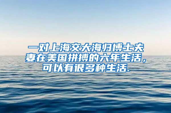 一对上海交大海归博士夫妻在美国拼搏的六年生活，可以有很多种生活.