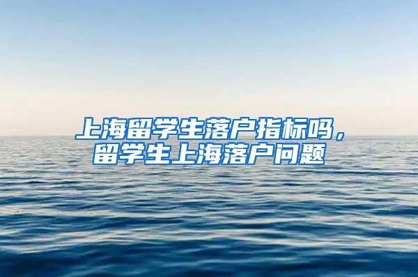 上海留学生落户指标吗，留学生上海落户问题