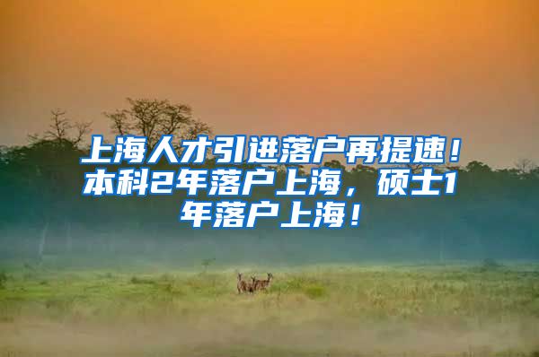 上海人才引进落户再提速！本科2年落户上海，硕士1年落户上海！