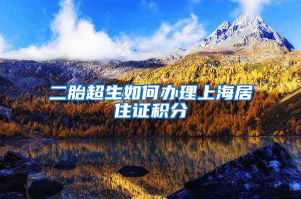 二胎超生如何办理上海居住证积分