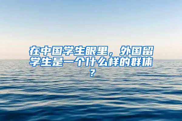 在中国学生眼里，外国留学生是一个什么样的群体？