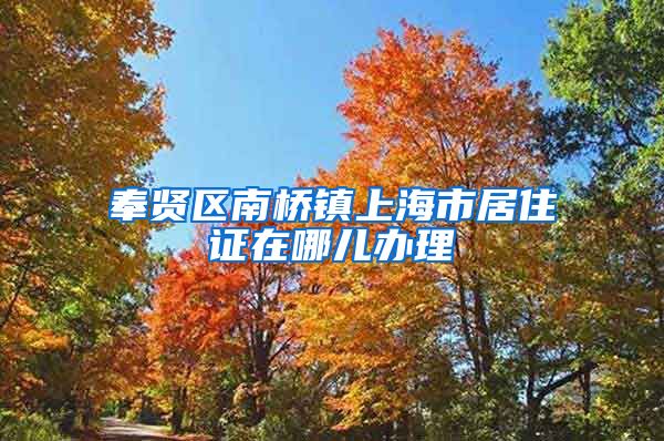 奉贤区南桥镇上海市居住证在哪儿办理