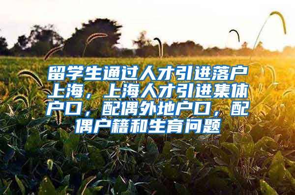 留学生通过人才引进落户上海，上海人才引进集体户口，配偶外地户口，配偶户籍和生育问题