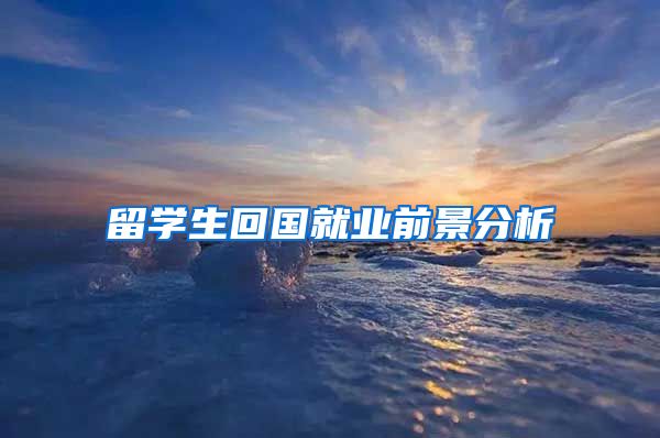 留学生回国就业前景分析