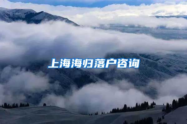 上海海归落户咨询