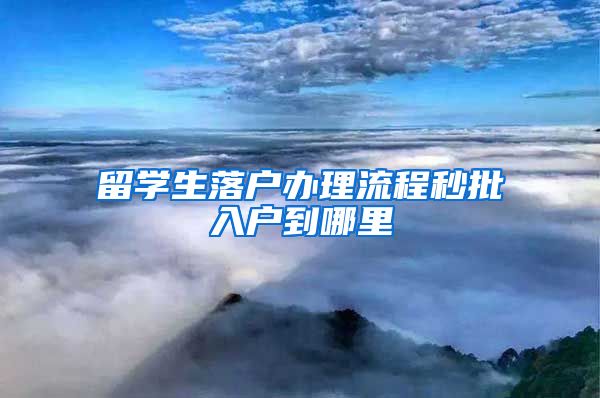 留学生落户办理流程秒批入户到哪里