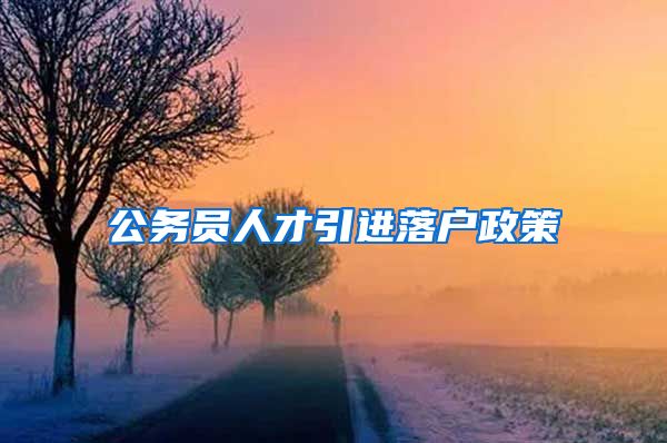 公务员人才引进落户政策