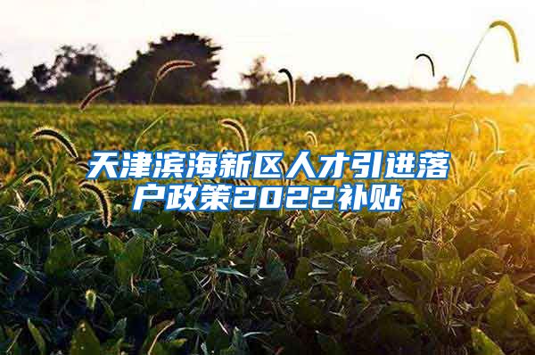 天津滨海新区人才引进落户政策2022补贴