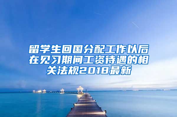 留学生回国分配工作以后在见习期间工资待遇的相关法规2018最新