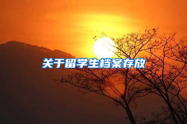 关于留学生档案存放