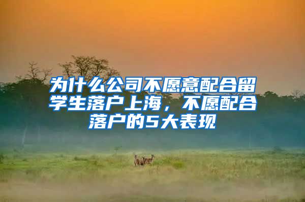 为什么公司不愿意配合留学生落户上海，不愿配合落户的5大表现