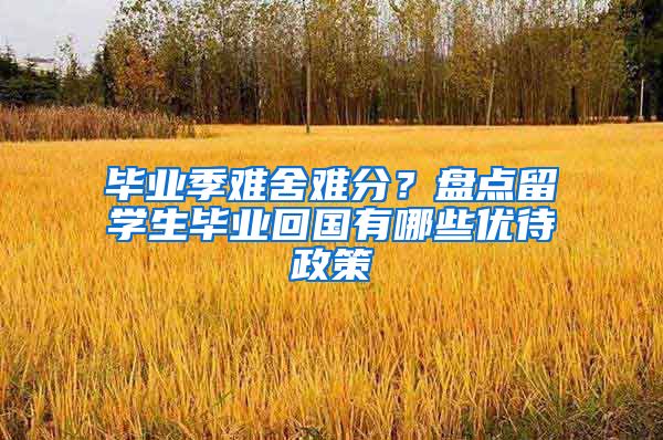 毕业季难舍难分？盘点留学生毕业回国有哪些优待政策