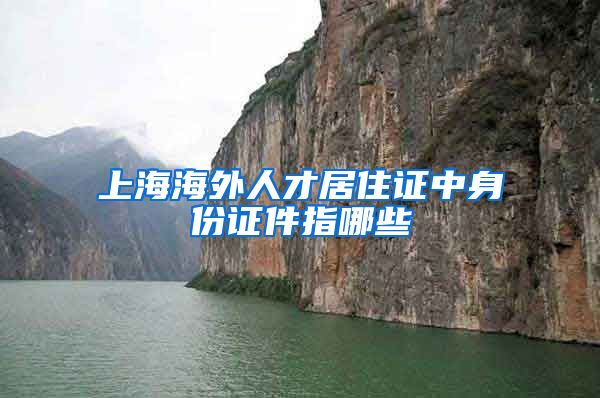 上海海外人才居住证中身份证件指哪些