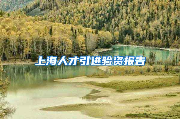 上海人才引进验资报告