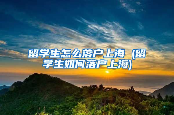 留学生怎么落户上海 (留学生如何落户上海)