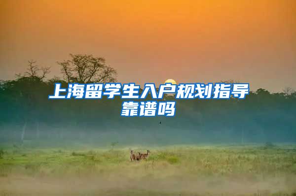 上海留学生入户规划指导靠谱吗