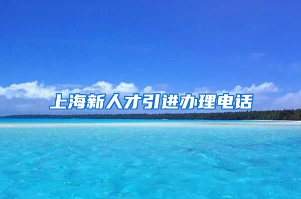 上海新人才引进办理电话