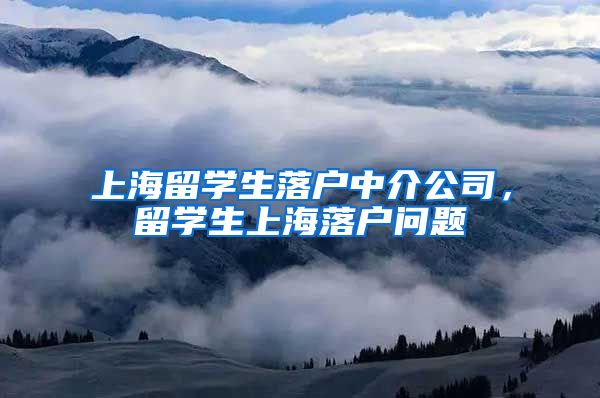 上海留学生落户中介公司，留学生上海落户问题