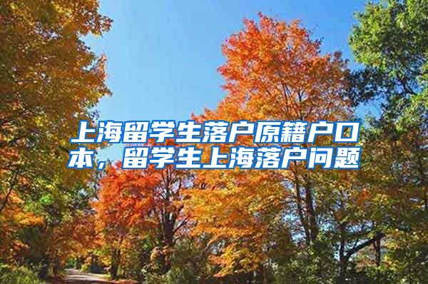 上海留学生落户原籍户口本，留学生上海落户问题