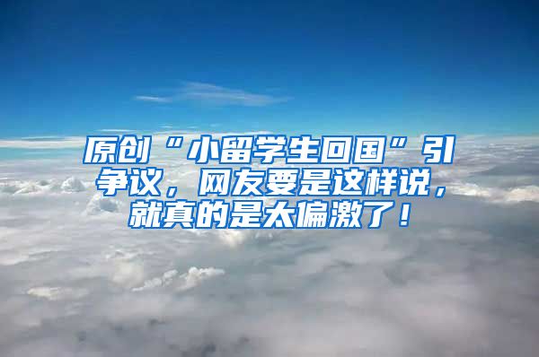 原创“小留学生回国”引争议，网友要是这样说，就真的是太偏激了！