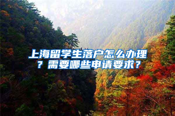 上海留学生落户怎么办理？需要哪些申请要求？