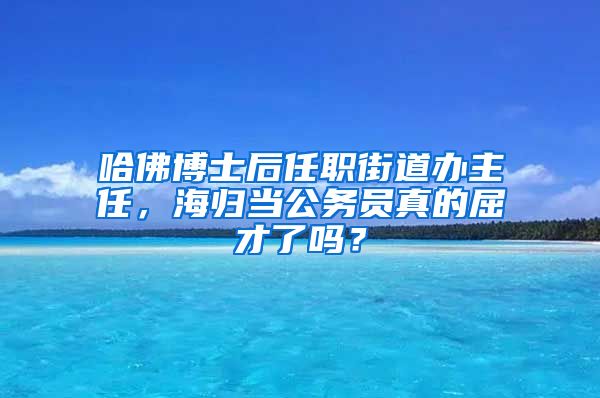 哈佛博士后任职街道办主任，海归当公务员真的屈才了吗？