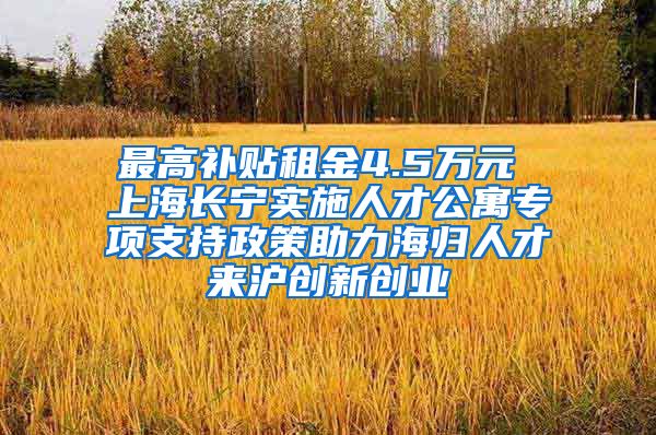 最高补贴租金4.5万元 上海长宁实施人才公寓专项支持政策助力海归人才来沪创新创业