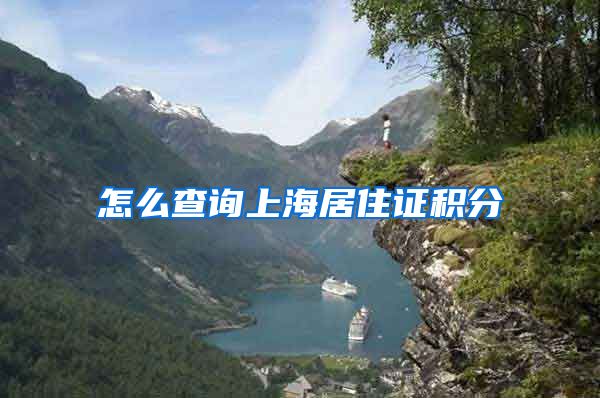 怎么查询上海居住证积分